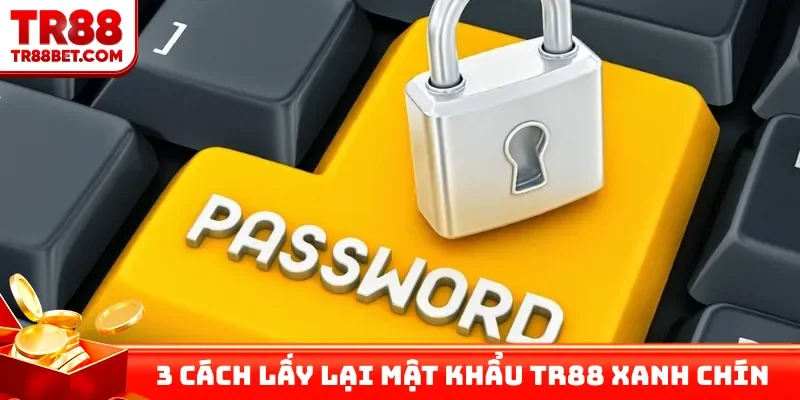 3 cách lấy lại mật khẩu TR88 xanh chín