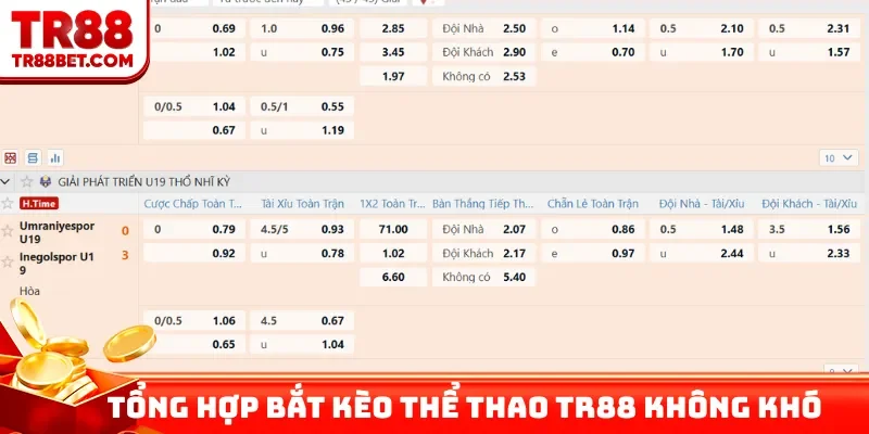 Tổng hợp bắt kèo thể thao TR88 không khó